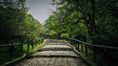 Sendero Cerro Monserrate con camino en piedra hacia arriba rodeado de cerca de madera y árboles frondosos.