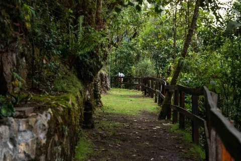 Sendero El Paramuno con camino de tierra demarcado con cerca de madera y piedras grandes, rodeado por árboles y vegetación.