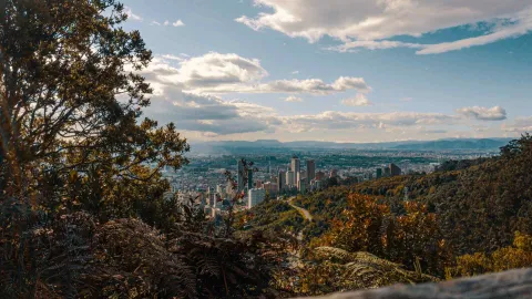 Eastern Hills with a view of the city behind a tree and a deserted road winding through the mountains. The sky is blue with clouds.