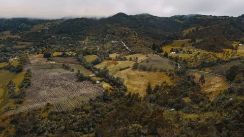 El Verjón Paramo, wide shot of the region highlighting green mountains and almost yellow plains with some crops. In the distance, a few houses can be seen, and the sky is covered with clouds.