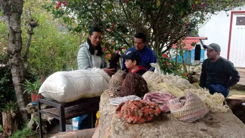 Una alcachofa y un adulto con una niña sembrando una planta.