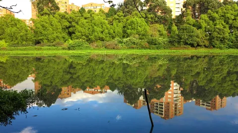 Córdoba Wetland lake water reflecting buildings in the background, trees, and the blue sky.