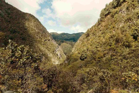 Sendero San Francisco - Vicachá vista entre dos montañas hacia otra montaña. Gran vegetación.