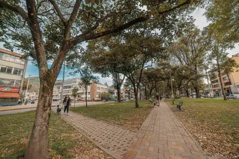 Esta fotografía muestra el parque del Park Way. El espacio, rodeado de árboles frondosos y senderos de ladrillo, se ve animado por la presencia de personas paseando a sus perros y disfrutando del aire libre. Los edificios de ladrillo y hormigón se asoman en el fondo, mezclando la naturaleza con la arquitectura urbana. 