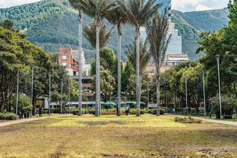 Esta imagen panorámica muestra una vista del Parque de la 93 y su entorno urbano. En el centro, un grupo de altas palmeras se alza sobre el sendero principal del parque, con las imponentes montañas de fondo. El parque, con su amplia zona verde y caminos arbolados, es un respiro en la ciudad. Al fondo, edificios modernos y rascacielos se asoman entre la vegetación, lo que demuestra la mezcla de naturaleza y desarrollo urbano que caracteriza a este emblemático lugar de Bogotá.