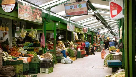 Esta imagen muestra el interior de un pasillo en la Plaza de Mercado Paloquemao, lleno de puestos de verduras y frutas. Los pasillos son amplios y los puestos están organizados con estantes verdes repletos de productos frescos. Se pueden ver grandes cantidades de zanahorias, patatas, mangos, plátanos y otras verduras. Varios vendedores y clientes están presentes, interactuando en el animado ambiente del mercado. Carteles informativos cuelgan del techo estructurado.