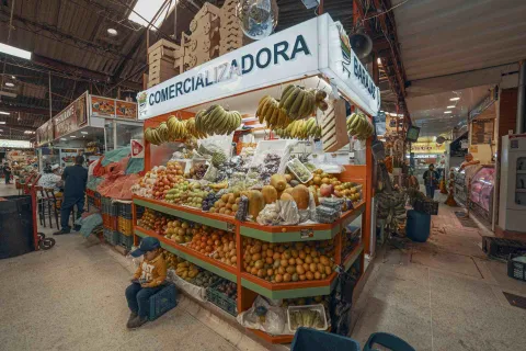Esta imagen presenta un puesto de frutas "Comercializadora" en el centro de un mercado cubierto. Plátanos cuelgan de la parte superior, mientras que el puesto exhibe una enorme variedad de frutas frescas dispuestas en niveles. Un niño está sentado en un cajón en primer plano a la izquierda. El fondo muestra otros pasillos del mercado con gente y más puestos.