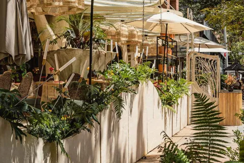 This photograph captures the terrace of a restaurant in Zona G, with a design that evokes a relaxed, tropical ambiance. The space is decorated with cream-colored concrete planters, overflowing with ferns and greenery, creating an oasis-like feel. Hanging wicker lamps and woven wooden chairs add a rustic and natural touch. Cream-colored umbrellas and awnings provide shade, creating a perfect spot to enjoy a meal or a drink outdoors in a stylish and inviting setting.