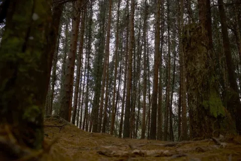 Ruta por el sendero La Serranía