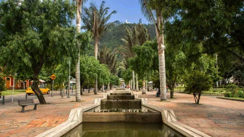 Eje ambiental con caudal de día con árboles y palmas a los lados. Al fondo se ve el cerro de Monserrate