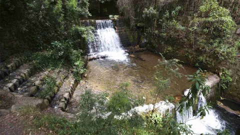 Cascada del río Vicachá de día con vegetación a los lados.