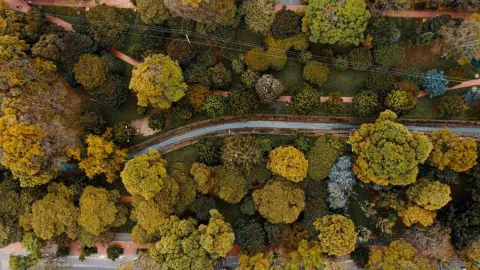 Parque visto desde arriba con un largo caño de agua en el centro. Lo rean muchos árboles frondosos.