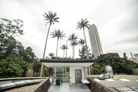Exterior de una terraza en la que sobresalen árboles y palmeras altas. Al fondo se ve en lo alto una torre de edificio muy alta.
