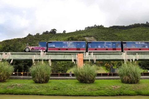 Un tren aéreo pasando por el monoriel. Al fondo hay una montaña.