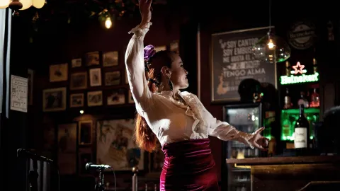 Una bailaora de flamenco con vestimenta tradicional, en pleno baile apasionado en un ambiente español.