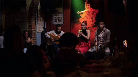 Un grupo de artistas flamencos en plena actuación, con guitarra, cante y baile, ante un público cautivado.