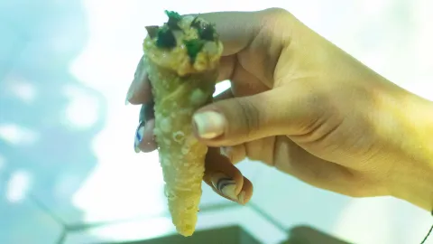  Una mano sosteniendo un cucurucho de masa crujiente relleno, con un enfoque en la textura del platillo.