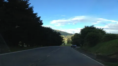 Camino en avenida con algunos árboles alrededor. Se observa que se acerca un auto negro.