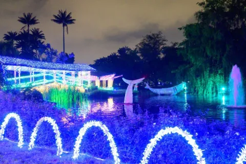  Alumbrados en forma de peces en un lago, en un jardín de noche. 