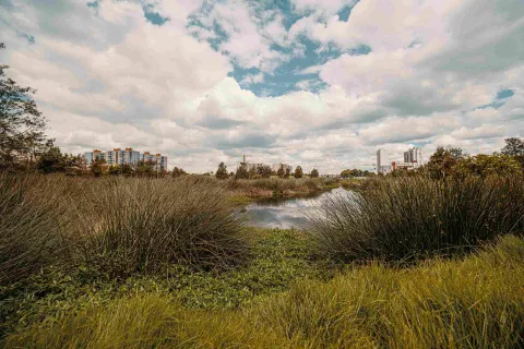  Campo abierto en el que sobresale un espejo de agua como un lago rodeado de vegetación y unos edificios muy al fondo.