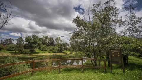  Un espejo de agua como un lago rodeado de vegetación. Hay una cerca y un aviso de madera que separa el paso de un campo verde al agua.