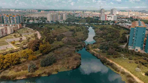 El Burro Wetland