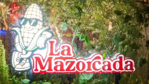 Conozca nuestra línea de platos elaborados con maíz tierno seleccionado e ingredientes de primera calidad.
