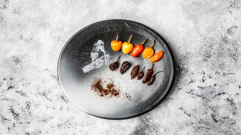 Plato negro decorado con una variedad de chiles secos y frescos, mostrando diferentes colores y formas