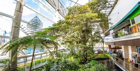 Una gra estructura de cristal en la que hay un par de árboles frondosos y otro tipo de vegetación.