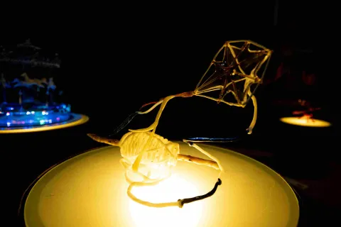  Una extraña figura delgada, parece que en vidrio, evoca una cometa y su hilo, sobre un foco de luz amarilla.