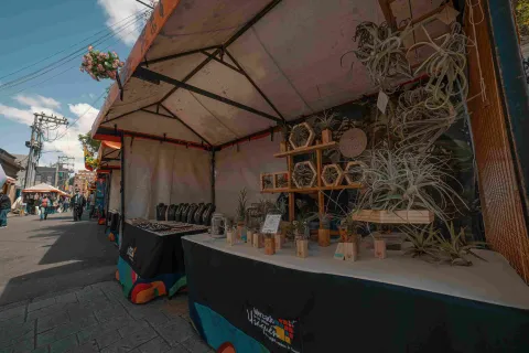 Close-up of a vendor stall displaying handicrafts and plants.