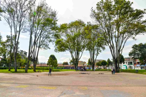Plano general de la plazoleta en la que sobresalen por lo menos 5 árboles altos.