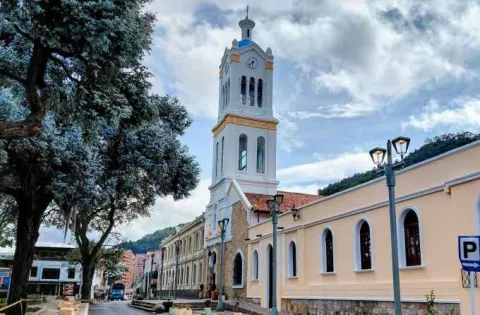 Side view of the church facade, featuring the large clock tower and the tall trees in the foreground in what appears to be a park.