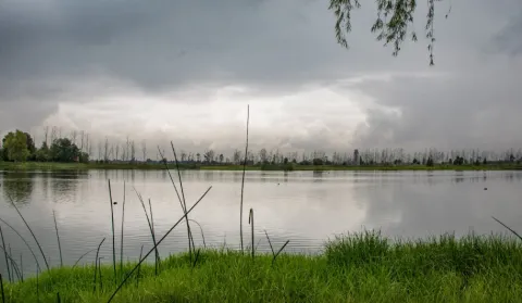 A tranquil lagoon surrounded by green vegetation and reeds in the foreground, under a cloudy sky, with trees and natural scenery in the background.