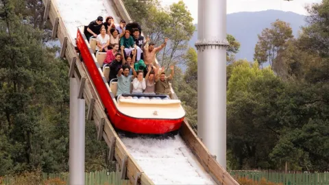 Atracción acuática de un parque de diversiones donde una embarcación roja desciende por una rampa con agua. Varias personas levantan los brazos y gritan de emoción mientras bajan, rodeadas de árboles y montañas al fondo.