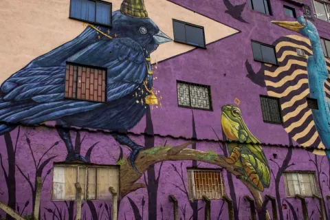 Mural colorido de un pájaro y una rana en un edificio, mostrando arte urbano vibrante y creativo.
