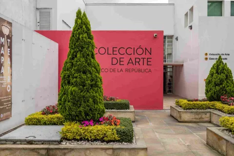 Salón interior con un gran pino y una pared roja con letras negras en las que hay una leyenda que dice: "Colección de arte".