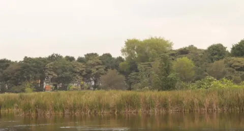 A serene body of water reflects the blue sky and is surrounded by vegetation.