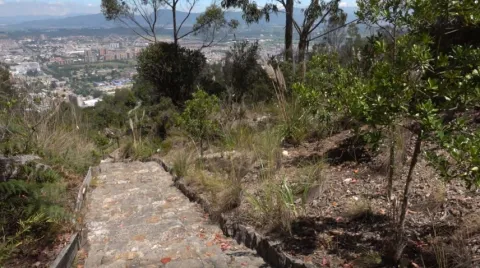 Un camino rodeado de árboles y arbustos que conduce hacia la ciudad de Bogotá al fondo.