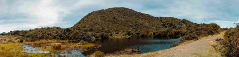 A lake surrounded by mountains and grass, reflecting the natural beauty of the landscape.
