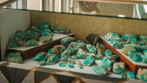  Vitrina de museo con varias esmeraldas en bruto de color verde intenso expuestas sobre soportes blancos. Las piedras de diferentes tamaños y formas están protegidas por un vidrio y exhibidas como parte de una colección mineral.