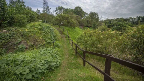Sendero natural con baranda de madera que conduce a unas escaleras en medio de abundante vegetación y árboles, bajo un cielo parcialmente nublado.