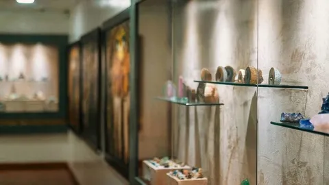  Interior de una sala de museo con vitrinas de vidrio donde se exhiben minerales y piedras preciosas sobre repisas transparentes. A lo largo del pasillo se observan más vitrinas y paneles expositivos iluminados que muestran diferentes piezas de la colección.