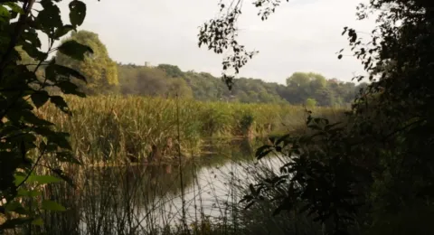 Parque Ecológico Distrital de Humedal Santa María del Lago