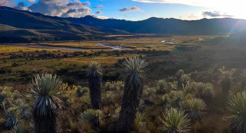 Parque Nacional Natural Chingaza