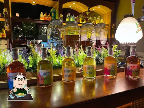 Barra de un bar iluminada con luz cálida, donde se exhiben varias botellas de ginebra alineadas en primer plano, cada una con etiquetas de diferentes sabores como cítricos y flores. Detrás, hay frascos grandes con infusiones y una repisa con más botellas de licor.
