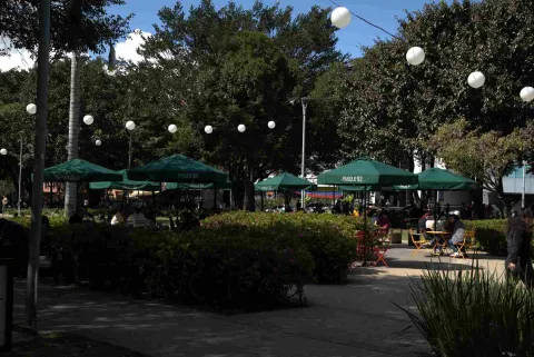Zona de descanso con mesas y sombrillas verdes, donde varias personas conversan y se reúnen en un entorno arbolado. 