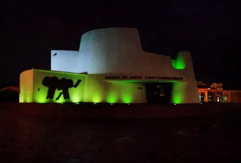  Fachada del Museo de Arte Contemporáneo iluminada de noche con luces verdes.
