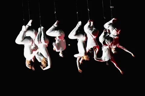 Festival Internacional de las Artes Vivas (FIAV)