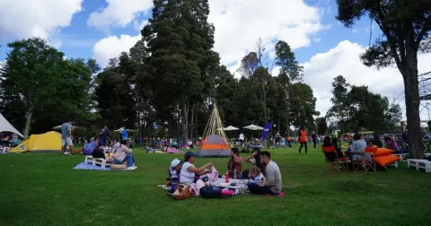Cumpleaños de Bogotá / Festival de Verano
